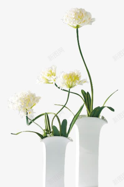 鲜花花瓶png免抠素材_新图网 https://ixintu.com 叶子 家居 家装 白色花朵 绿色植物 花瓶