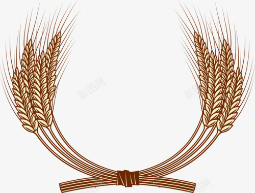 谷物手绘麦穗矢量图图标图标