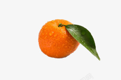 好吃的橘子诱惑人的橘子高清图片