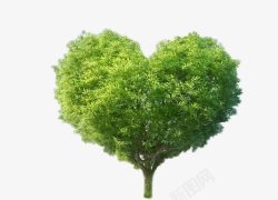 心形绿色大树植树节元素素材