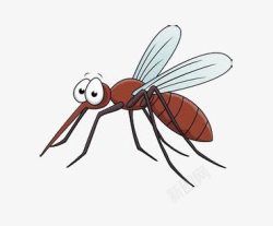 蚊子矢量图蚊子高清图片