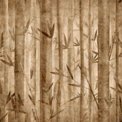 粗花纹粗纹理的竹子背景高清图片