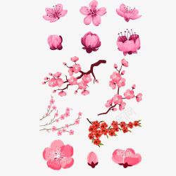 粉红色花骨朵桃花盛开高清图片