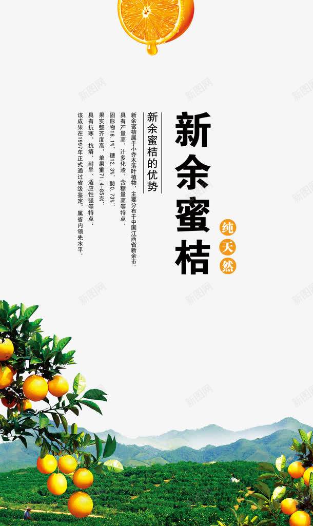 蜜桔水果png_新图网 https://ixintu.com 丰收 新余蜜桔 水果 水果蜜桔 海报 海报素材 蜜桔 蜜桔水果海报素材