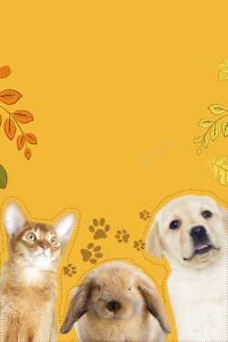 宠物服饰黄色卡通叶子宠物狗粮海报高清图片