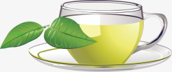 手绘绿茶绿茶叶子普洱茶叶高清图片