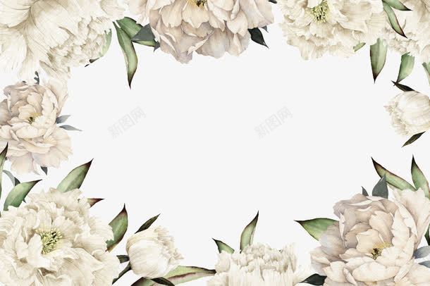 白色花朵边框png免抠素材_新图网 https://ixintu.com 手绘 植物 水彩 花卉 花朵 边框 鲜花