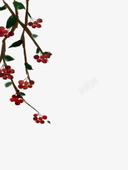 中国风花朵背景3素材