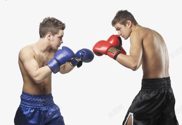 拳击对抗png免抠素材_新图网 https://ixintu.com 健康 力量 回合 对抗 对比回合数 拳击 拳击手套