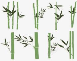 开白色花的植物竹子开叶高清图片