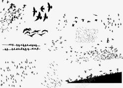 候鸟迁徙迁徙鸟类剪影高清图片