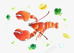 水彩画食物龙虾水彩画高清图片
