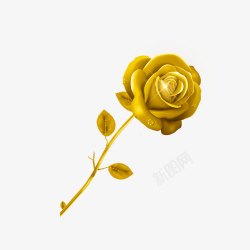 设计感花朵金色玫瑰高清图片