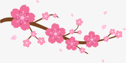 粉色春季桃花花枝素材
