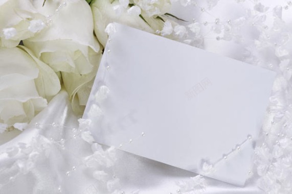 白色玫瑰花与卡片背景