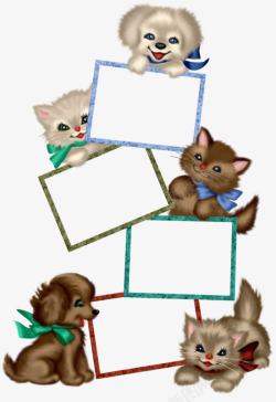 小猫相框小动物装饰边框高清图片