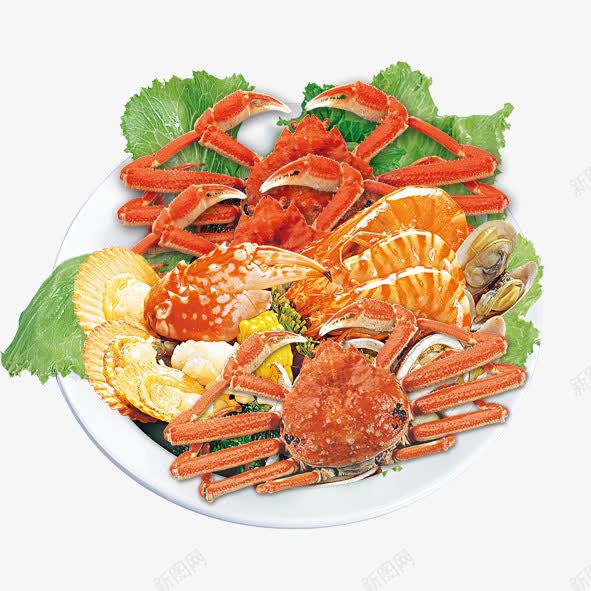 海鲜盛宴png免抠素材_新图网 https://ixintu.com 海鲜 美食 虾 螃蟹 贝壳