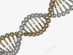 亲子鉴定金色dna遗传物质基因肽链脱氧高清图片