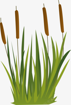 芦苇装饰绿色春季草丛芦苇高清图片
