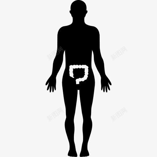 人体的轮廓和突出的大肠图标png_新图网 https://ixintu.com 人体的肠道 人力 人的轮廓图 医疗 大肠 身体 身体器官 身体的一部分