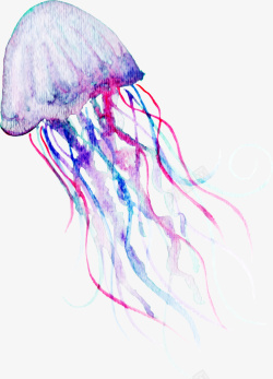 彩绘海洋生物手绘水彩水母高清图片