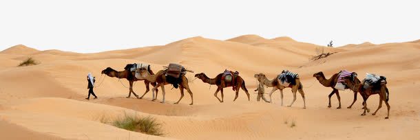 沙漠中的骆驼png免抠素材_新图网 https://ixintu.com 沙尘 沙漠 灰尘 背景装饰 骆驼