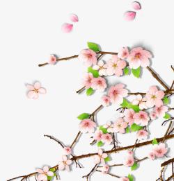 粉色艺术春天梅花花朵素材