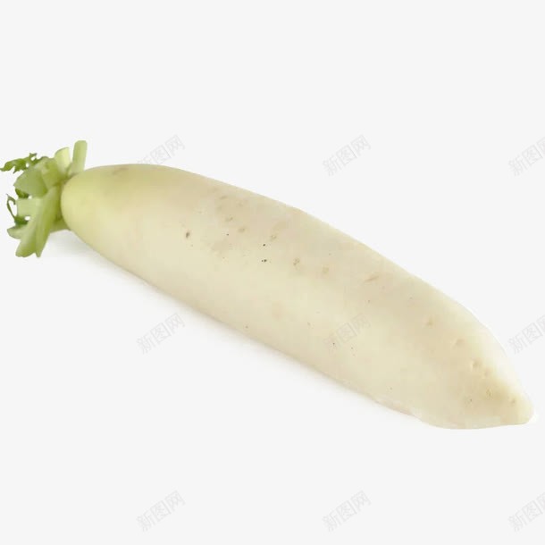 一个白萝卜png免抠素材_新图网 https://ixintu.com 新鲜食材 白色 美味健康 美食 萝卜 蔬菜