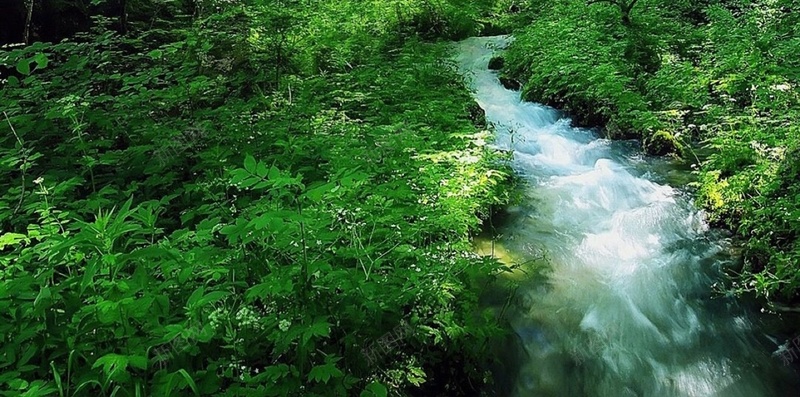 森林山水风景H5背景jpg设计背景_新图网 https://ixintu.com H5 H5背景 h5 山水 彩色 景点 森林 风景