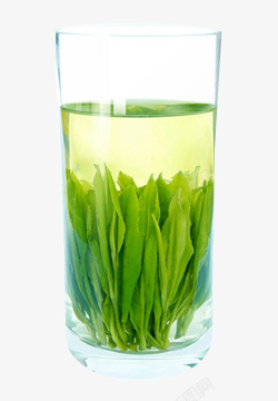 太平猴魁茶叶一杯绿茶高清图片