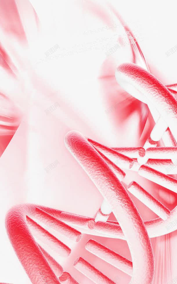 红色基因组织png免抠素材_新图网 https://ixintu.com 双链结构 基因 基因DNA 基因组织 染色体 科学研究 红色基因链
