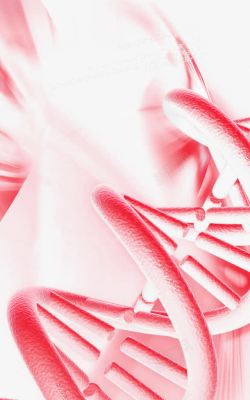 双链结构红色基因组织高清图片