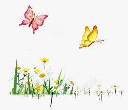 草地黄花蝴蝶美丽的春季景色高清图片