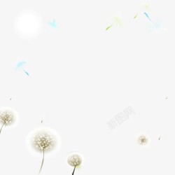 飘散的蒲公英蒲公英矢量图高清图片