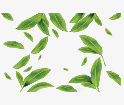 绿色夏季茶叶花纹矢量图素材