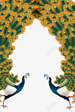 孔雀羽毛彩色开屏的孔雀高清图片