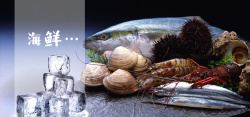 贝类海鲜食品背景高清图片