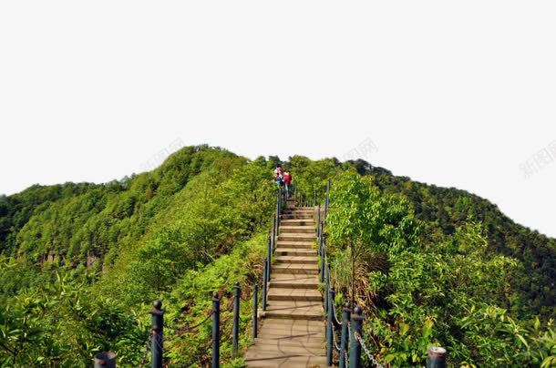 重庆永川茶山竹海风景矢量图eps免抠素材_新图网 https://ixintu.com 山水 旅游 美景 重庆 风景 矢量图