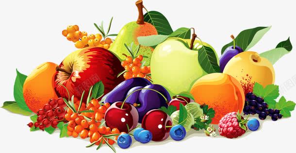 一堆新鲜水果png免抠素材_新图网 https://ixintu.com 一堆 新鲜 李子 水果 沙棘 苹果