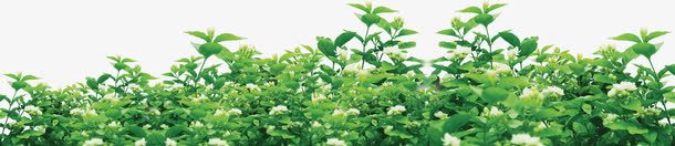 春天节日海报植物装饰png免抠素材_新图网 https://ixintu.com 假日 春天 植物 灌木 重大消息