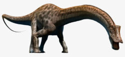 远古的恐龙低着头的梁龙实物高清图片