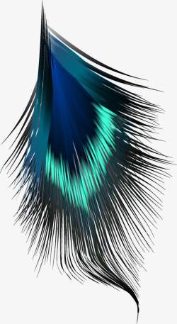 手绘孔雀毛美丽的孔雀羽毛图案高清图片