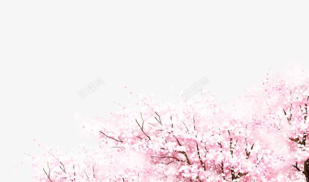 水彩樱花树装饰图案png免抠素材_新图网 https://ixintu.com 免抠PNG 樱花树 水彩 装饰图案