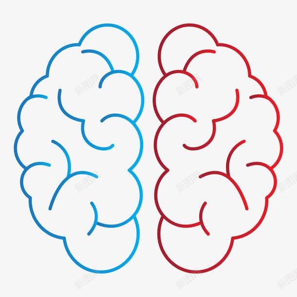 最强大脑彩色脑细胞png免抠素材_新图网 https://ixintu.com 人脑图 大脑 彩色 最强 最强大脑 脑细胞