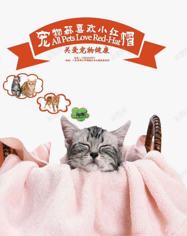 宠物店宣传单猫咪可爱png免抠素材_新图网 https://ixintu.com 可爱 宠物之家 宠物店宣传单 宠物美容 猫咪 睡觉
