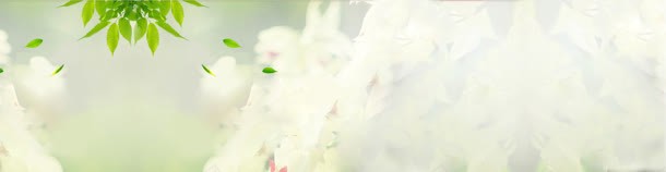 淘宝天猫首页jpg设计背景_新图网 https://ixintu.com banner 广告图 淘宝女装banner 淡雅 绿色 背景