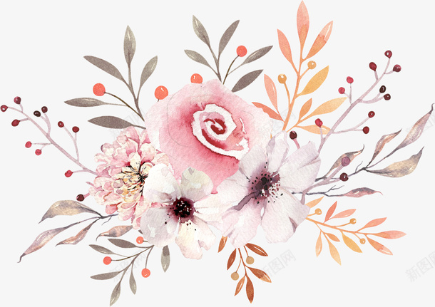 手绘水彩美丽花朵花草花卉png图片免费下载