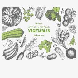 四季蔬菜多种实物插画高清图片