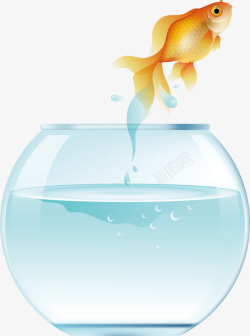 水缸矢量鱼从水缸中跳出水花高清图片