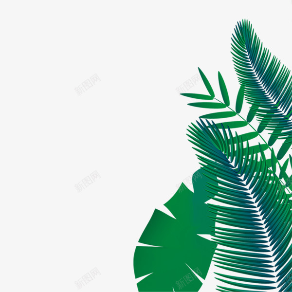 热带雨林植物手绘边框png免抠素材_新图网 https://ixintu.com 手绘 春天 树叶 植物 水墨画 清新 热带雨林 边框